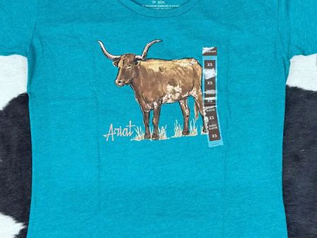 ARIAT LONGHORN WATERCOLOR TEAL GREEN HEATHER SHORT SLEEVE T-SHIRT Online